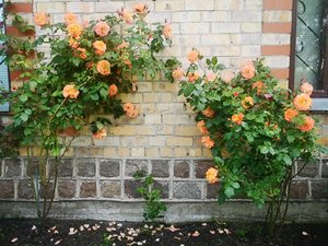 30,06,23-13.jpg