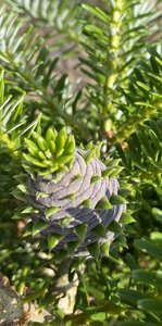 IMG_1865.jpeg