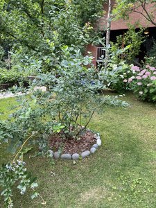6B130879-339D-4F9A-AE55-343D9622B987.jpeg