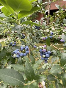 B45BD31C-AE5E-4979-99DD-52C5EC3DCB3A.jpeg