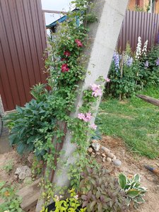 20230711_161244.jpg