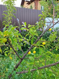 20230730_121710.jpg