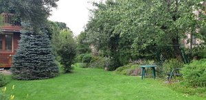 IMG-20230803-WA0002.jpg