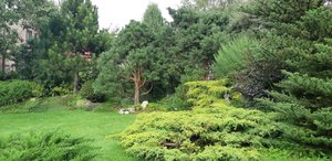 IMG-20230803-WA0003.jpg