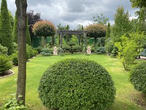 IMG_6913.jpeg