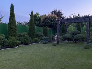 IMG_6635.jpeg