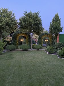 IMG_6634.jpeg