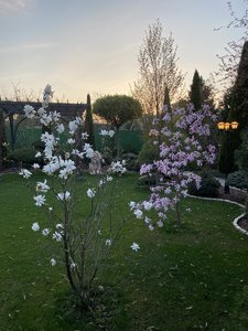 IMG_5832.jpeg