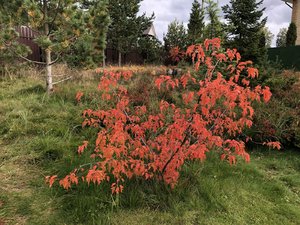 IMG_1924.JPG