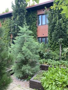 IMG_7065.jpeg