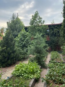 IMG_7058.jpeg