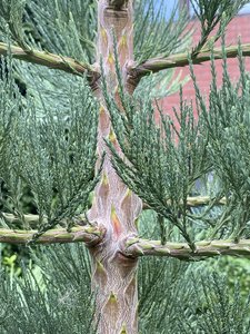 IMG_7064.jpeg