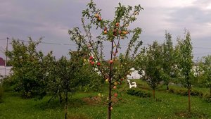 P_20230812_163538_1.jpg
