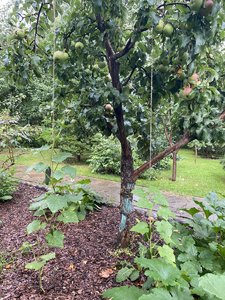 IMG_7131.jpeg