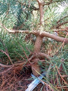 20230816_161911.jpg