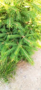 IMG_20230811_110828.jpg