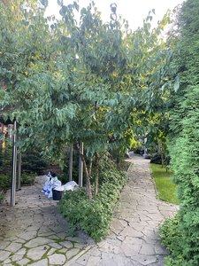 IMG_7196.jpeg
