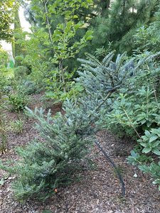 IMG_7186.jpeg