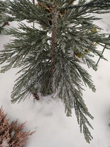 IMG_20221126_134959.jpg