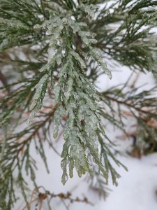 IMG_20221126_144158.jpg