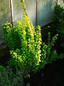22.09.23-4.jpg
