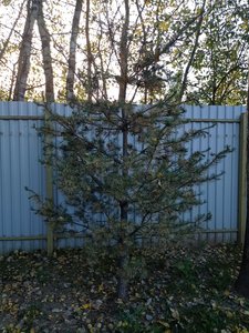 IMG_20230923_174701.jpg