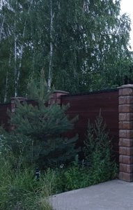 IMG_20230924_003954.jpg
