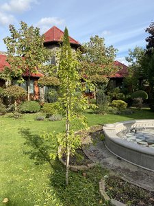 IMG_7507.jpeg