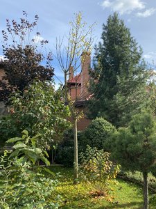 IMG_7505.jpeg