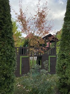 IMG_7481.jpeg