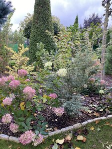 IMG_7482.jpeg