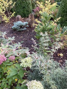 IMG_7483.jpeg