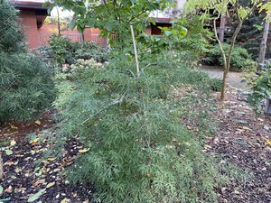 IMG_7484.jpeg