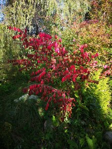 IMG_20230928_143448.jpg