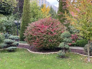 IMG_7454.jpeg