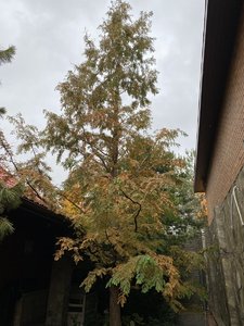 IMG_7566.jpeg