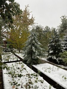 IMG_7620.jpeg