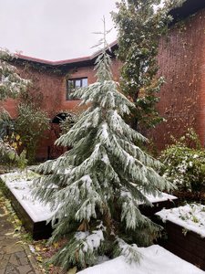 IMG_7618.jpeg