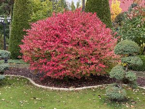 IMG_7577.jpeg