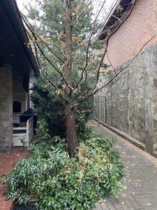 IMG_7658.jpeg