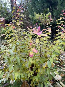 IMG_7655.jpeg