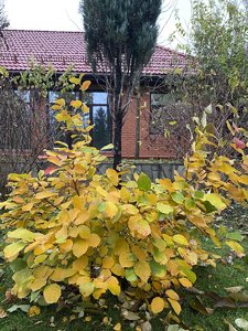 IMG_7654.jpeg