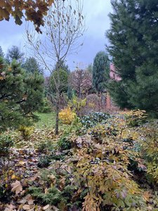 IMG_7660.jpeg