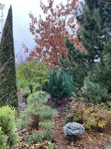 IMG_7656.jpeg
