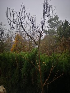 IMG_20231115_142654.jpg