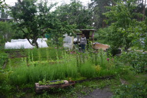 P1040124_resize.JPG