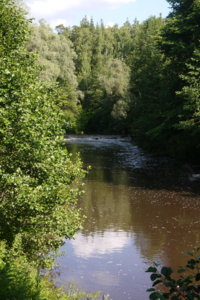 P1040162_resize.JPG