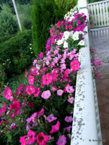DSCF4711.JPG
