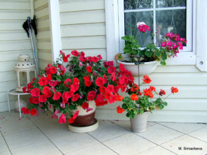 DSCF4715.JPG