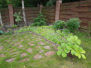 20170709_092543.jpg